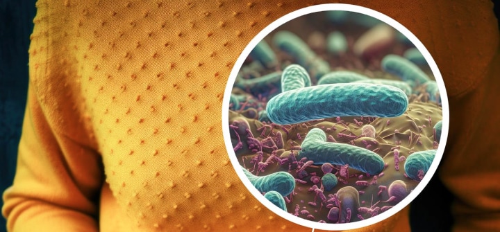 Что такое хеликобактер пилори и чем эта бактерия опасна